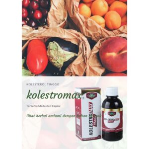 Obat herbal kolesterol